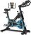 GOFLYSHINE Exercise Bikes Stationary,Exercise Bike for Home Indoor Cycling Bike for Home Cardio Gym,Workout Bike with 35 LBS Flywheel